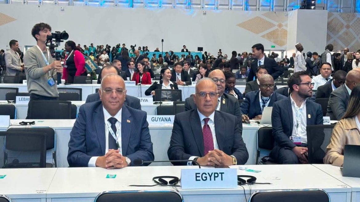 وزير الري يشارك في COP17 لمواجهة التصحر وتدهور الأراضي