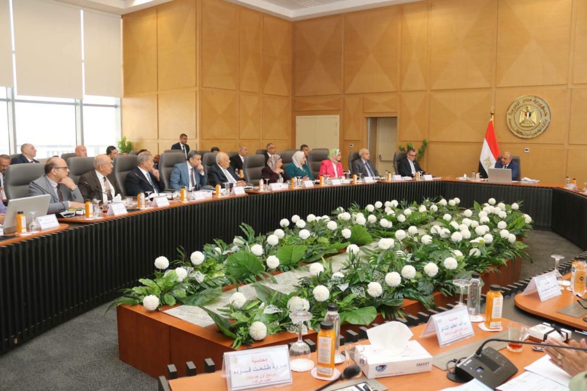 وزارة الكهرباء تضخ 36.8 مليار جنيه لتحديث شبكة النقل
