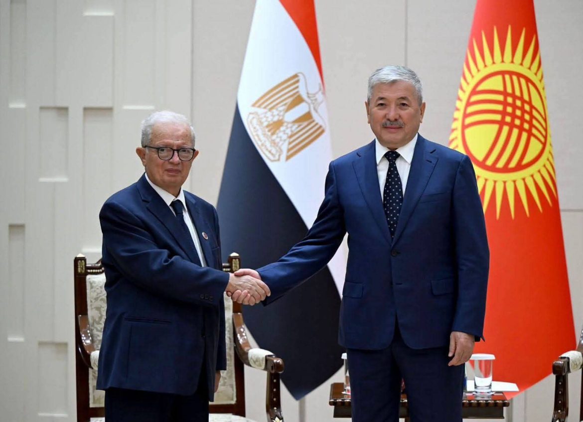 مصر وقيرغيزستان تبحثان تعزيز التعاون التجاري والاستثماري