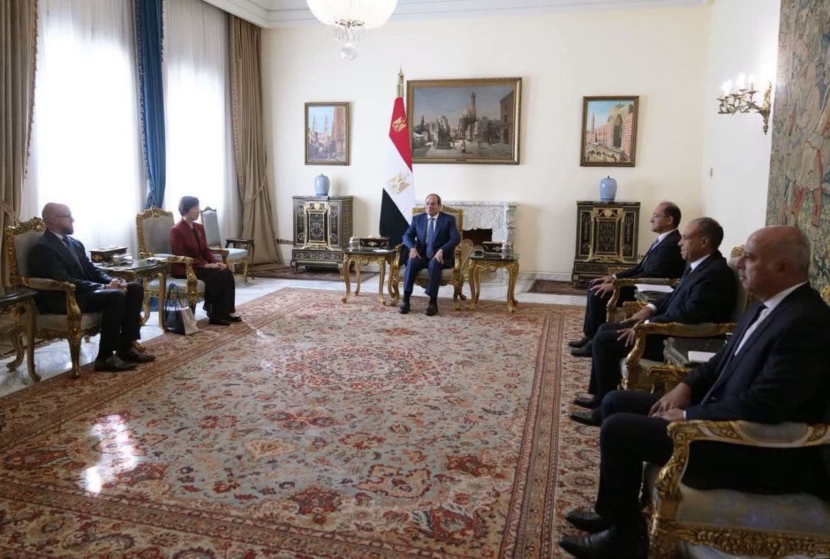 الرئيس السيسي يبحث مع البنك الآسيوي تمويل مشروعات مصر