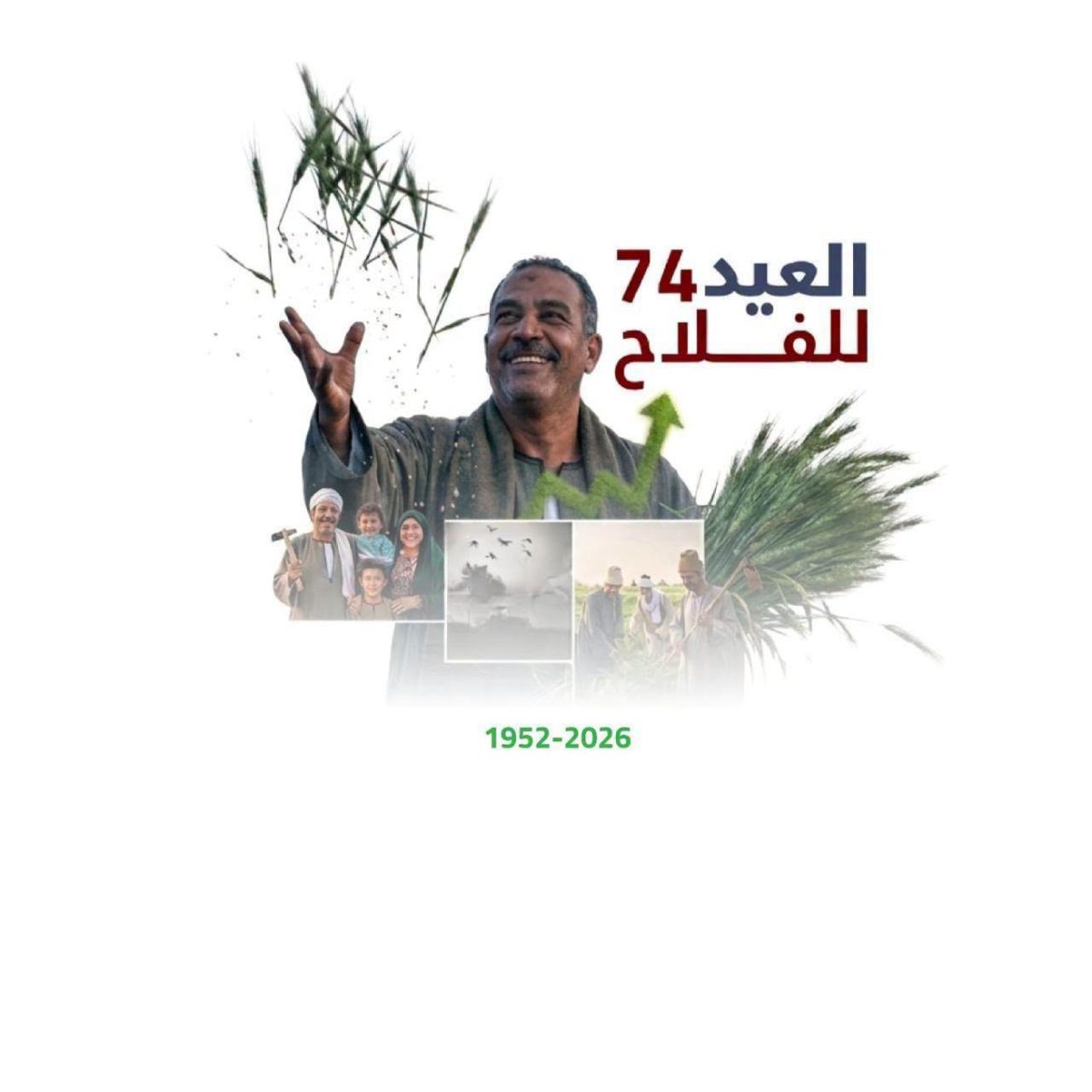 وزارة الزراعة تعلن حصادها في عيد الفلاح الـ74.. 9.5 مليون طن صادرات