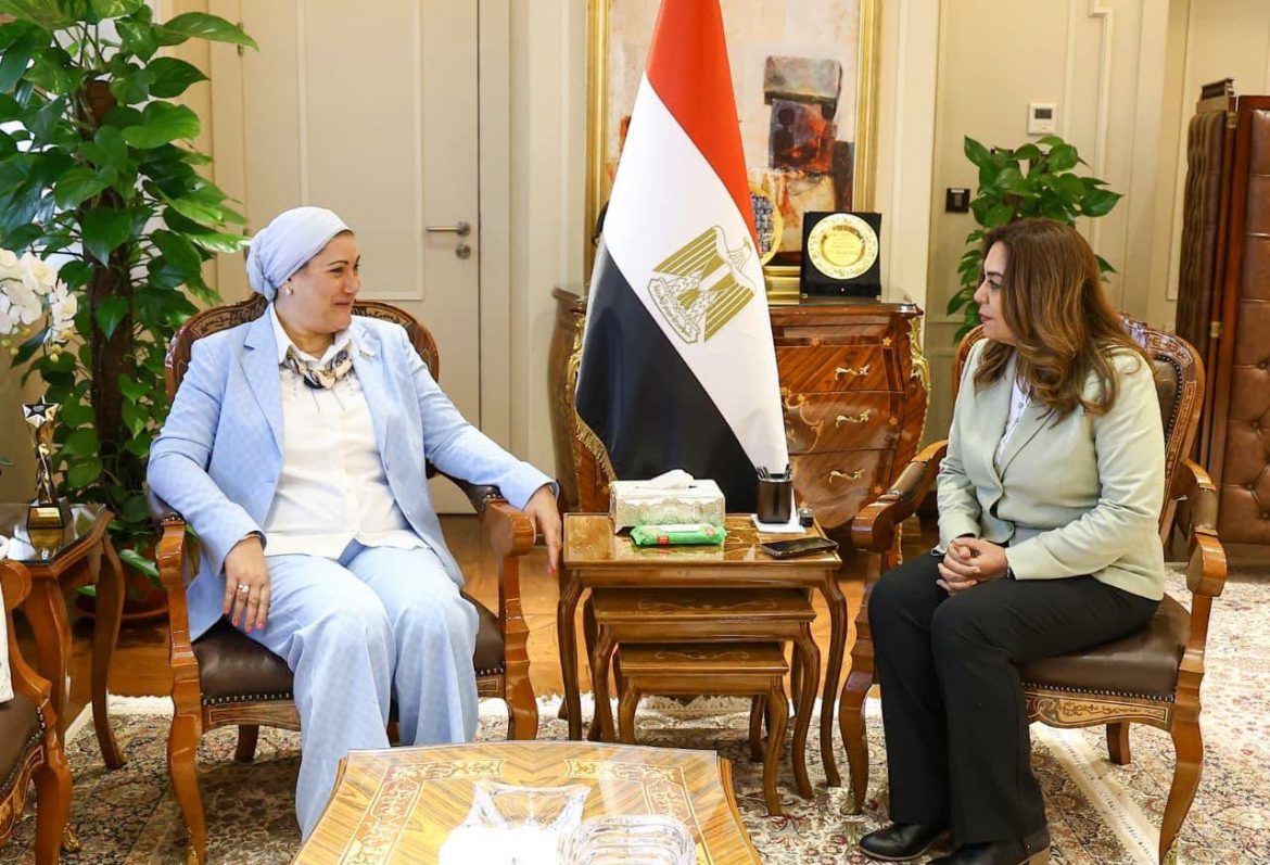 «التنمية المحلية» و«الأمومة والطفولة» تبحثان تطوير حماية الطفل