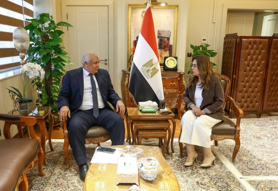 التنمية المحلية: خطة استثمارية ومشروعات خدمية جديدة في مطروح