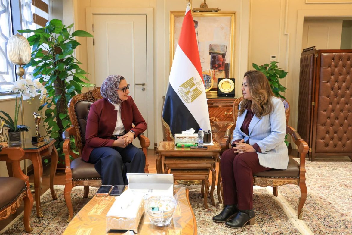 «التنمية المحلية» تتابع مشروعات واستثمارات الوادي الجديد