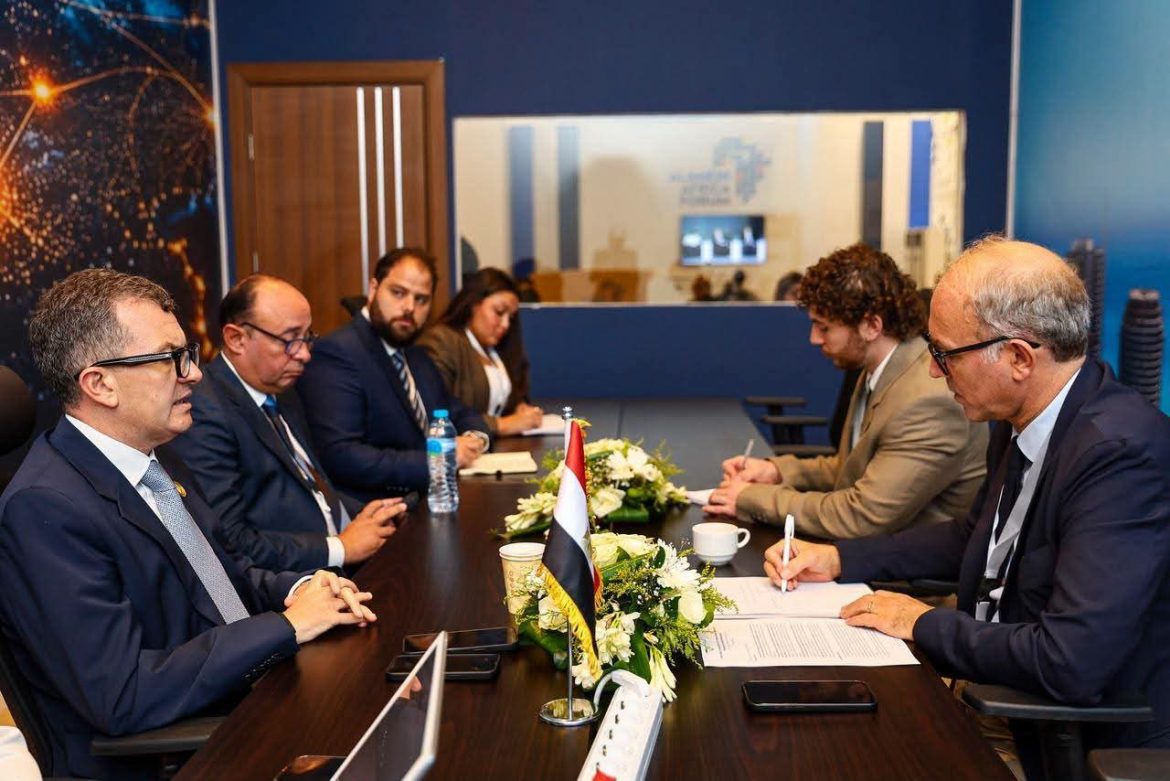 وزير التخطيط يبحث مع OECD تعزيز التعاون الاقتصادي