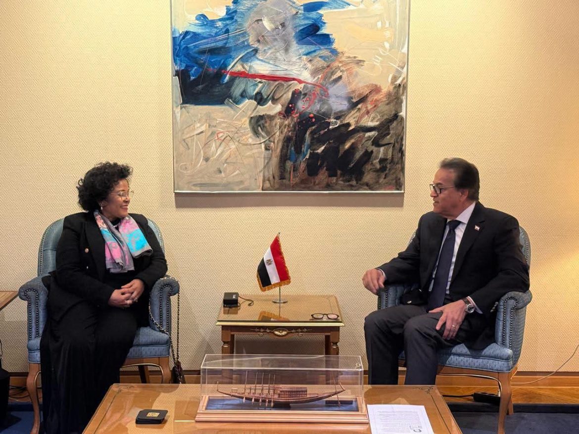 مصر و«أودا-نيباد» يبحثان تمويل مشاريع البنية التحتية الصحية بإفريقيا