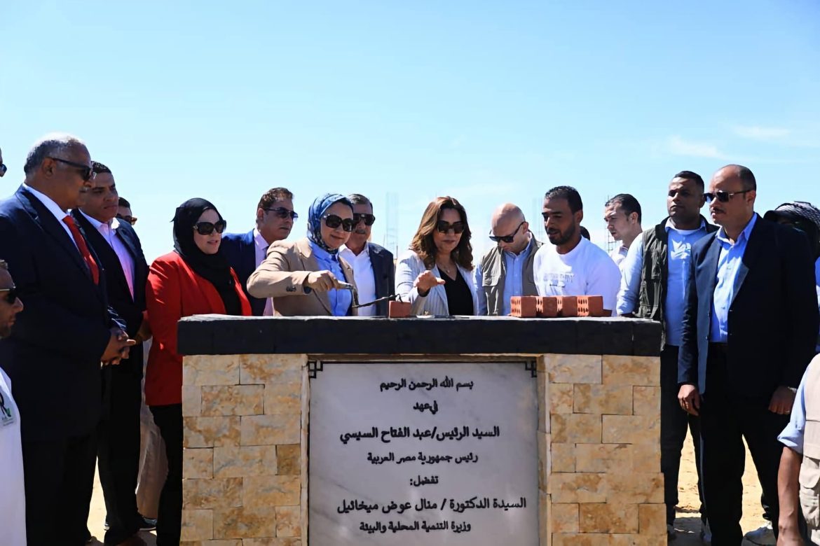 وزارة التنمية المحلية: مليون نخلة تستهدفها الوادي الجديد لتعزيز صادرات التمور