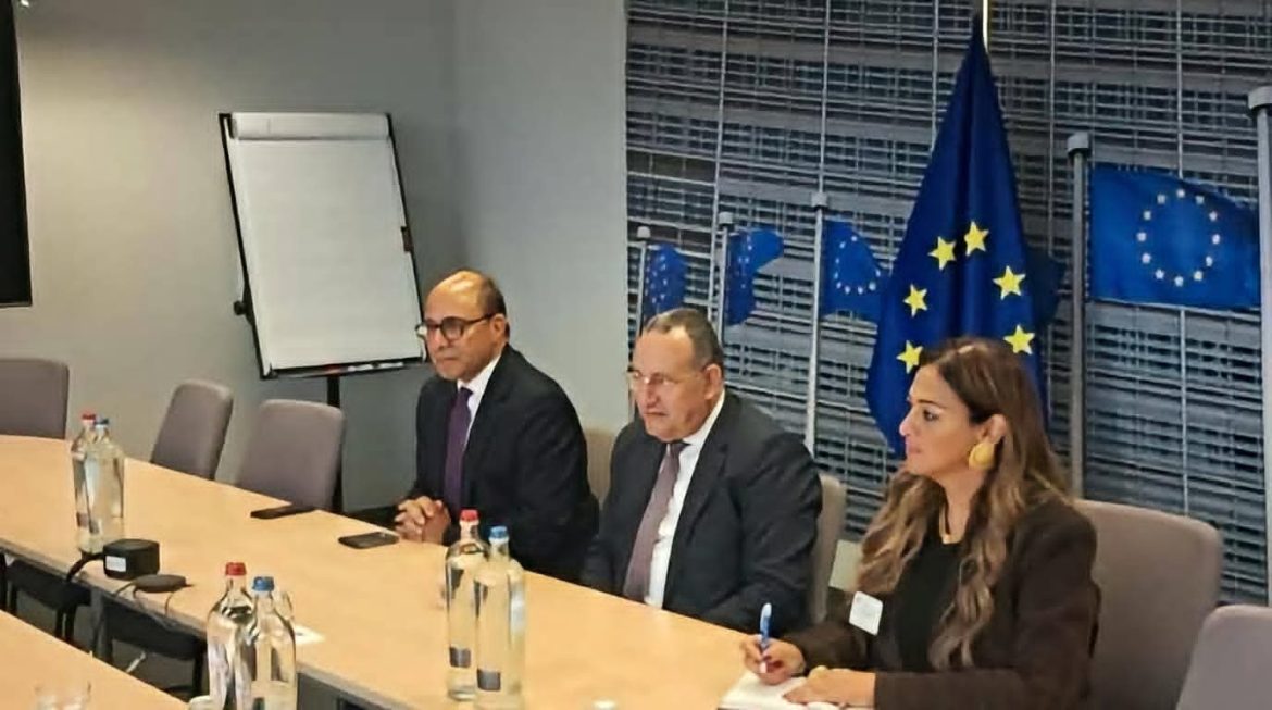 التعليم العالي تبحث مع بلجيكا تحويل الأبحاث إلى فرص اقتصادية
