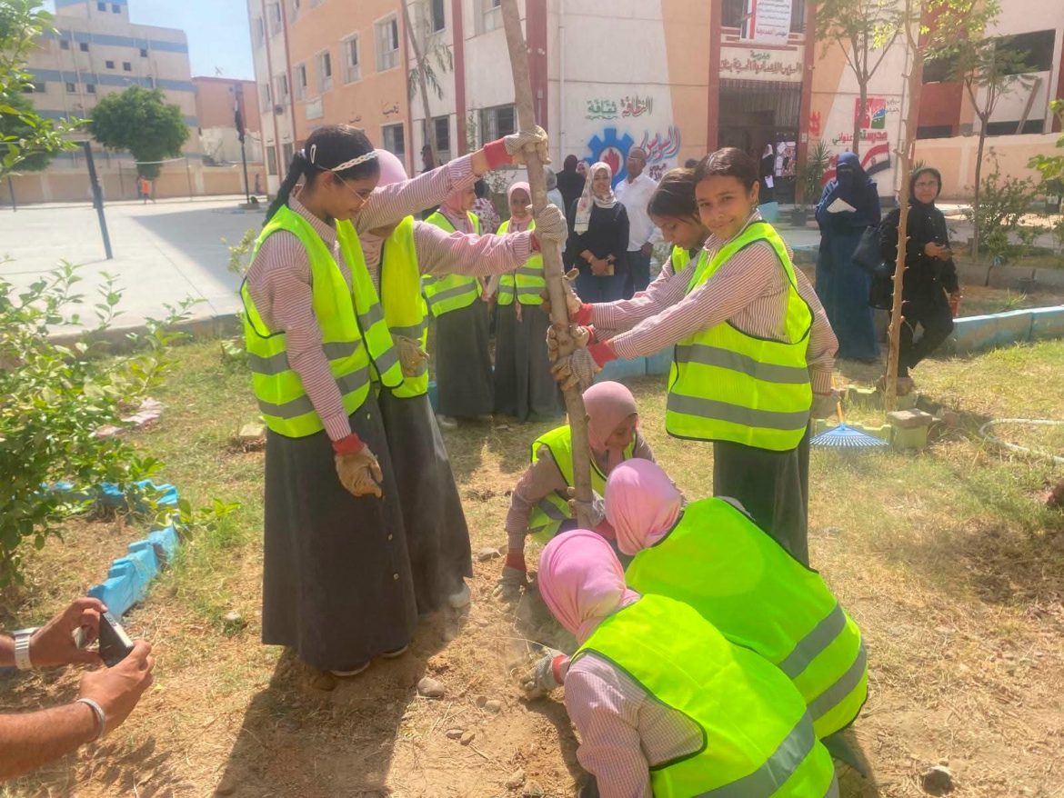 وزارة التنمية المحلية تبدأ خطة تشجير 4800 شجرة في السويس