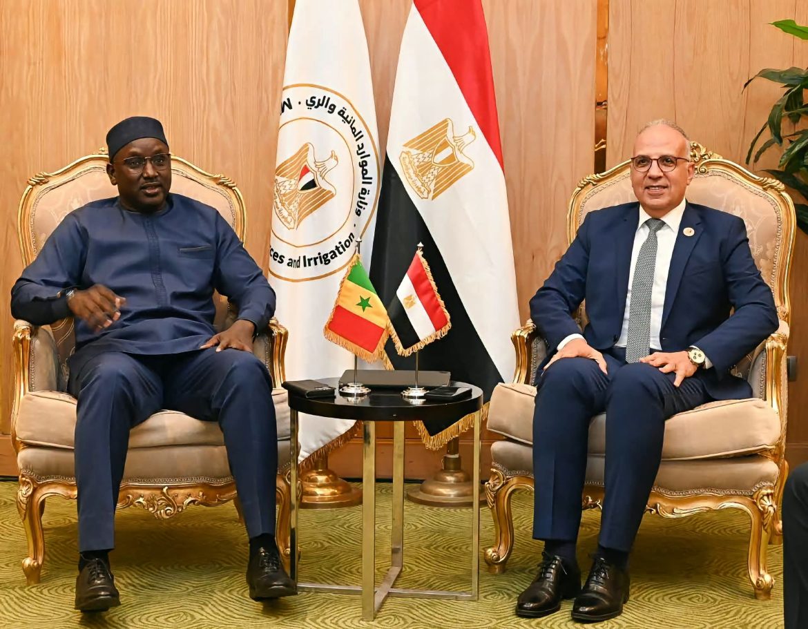 مصر والسنغال تبحثان توحيد الموقف الأفريقي بشأن المياه